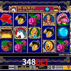 Experiência VIP 348bet